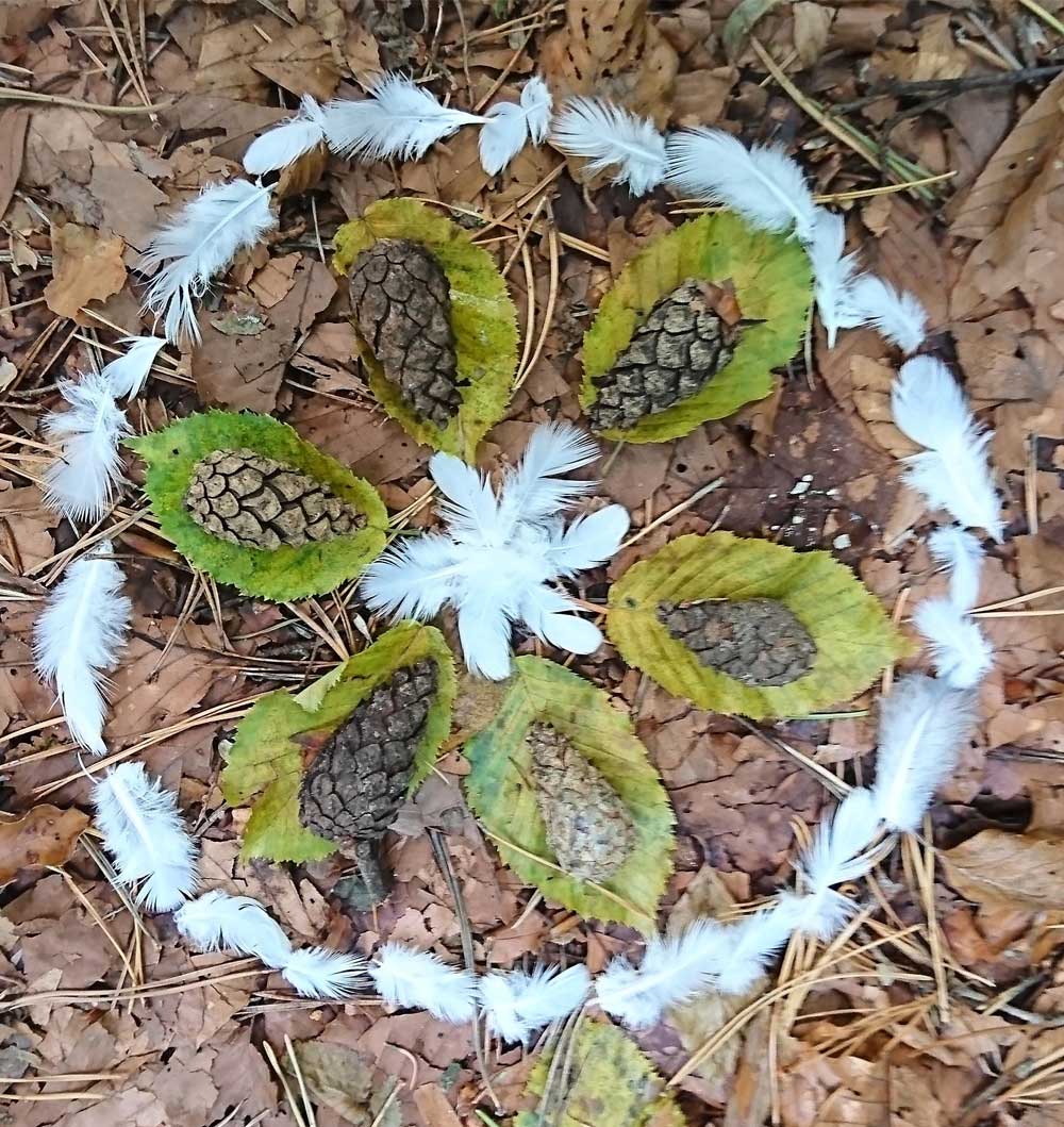 Mandala mit weissen Federn, Tannenzapfen und grünen Blättern auf braunem Laub. 