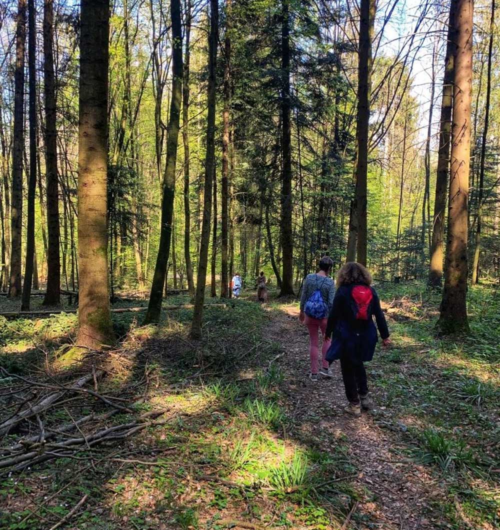 Vier Personen laufen einen Wanderweg im Wald entlang. Sie tragen unterschiedliche Kleidung und Rucksäcke.