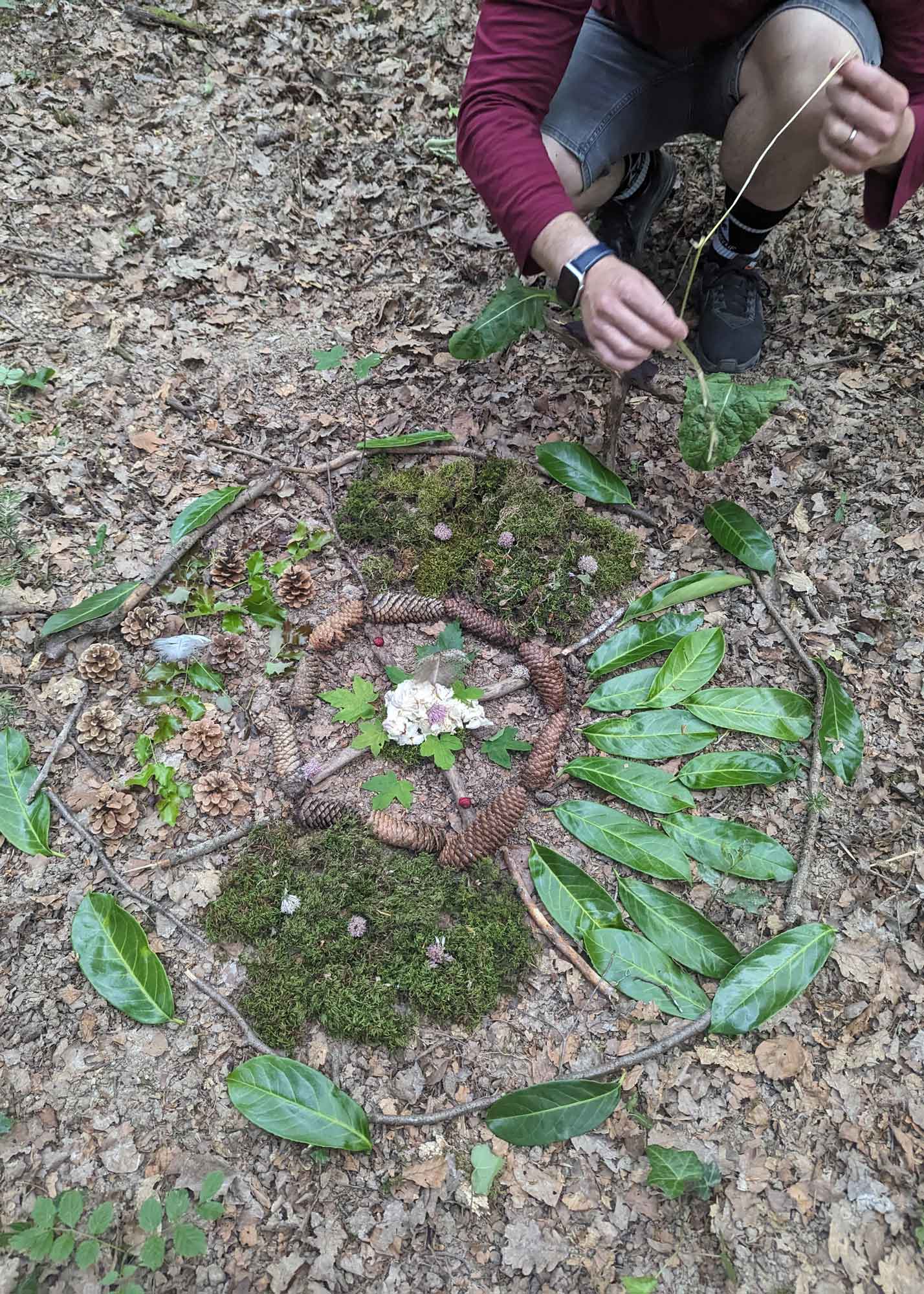 Mandala legen im Wald Manuela Krah